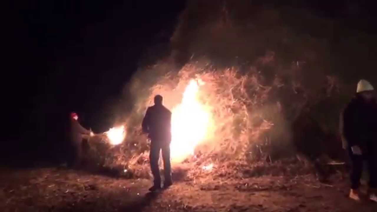 Falo' a Tesis 5.1.2015