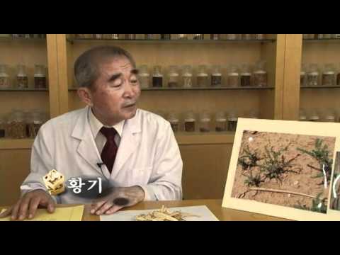 황기