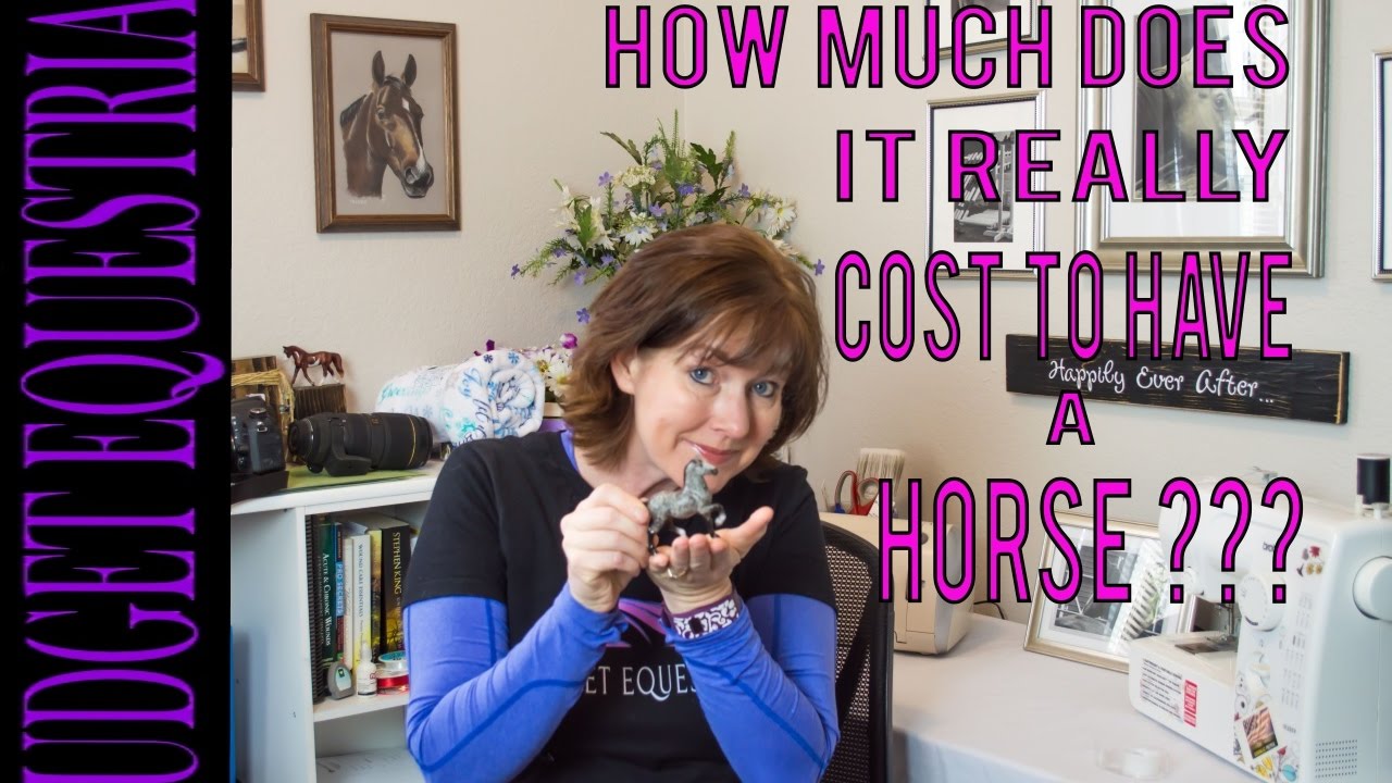 How Much Does it Cost To Have a Horse? - YouTube