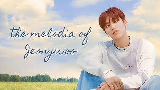 A PLAYLIST OF COVERS BY JEONGWOO - THE MELODIA OF JEONGWOO