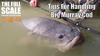 Best Tips for Catching Murray Cod - Increase Your Chances – Jack Norton  Fishing