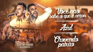 Video thumbnail of "Clayton e Romário - Você Não Sabe O Que É Amor / Azul / Chovendo Paixão - DVD  no Churrasco"