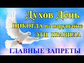 21 июня Духов День. День Святого Духа.  Что нельзя делать в Духов День. Народные традиции и приметы