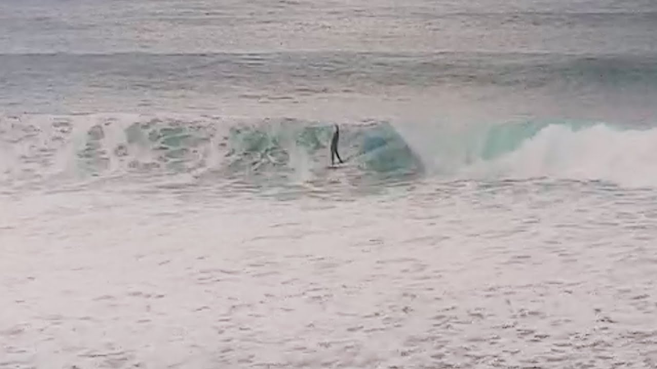Clips