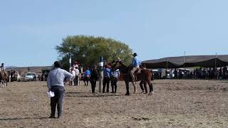 Fiesta De La Señalada Cushamen...nico Navarro Reservado El Sanputa