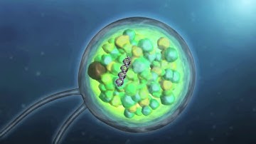 ANDREW McAFEE - Project Breakthrough - The UNGlobal Compact