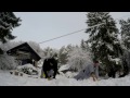 Shaolin · Winter is Here