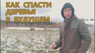 Лучше сделать заранее 🍎 ЧТОБЫ ЯБЛОНИ НЕ ПАДАЛИ ПОТОМ! 🌳 (о формировании садовых деревьев)