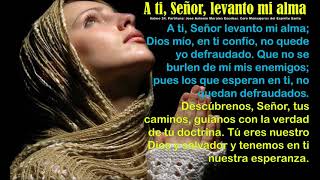 Video thumbnail of "A tí Señor levanto mi alma Salmo 24"