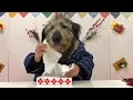 ナノちゃんの二人羽織