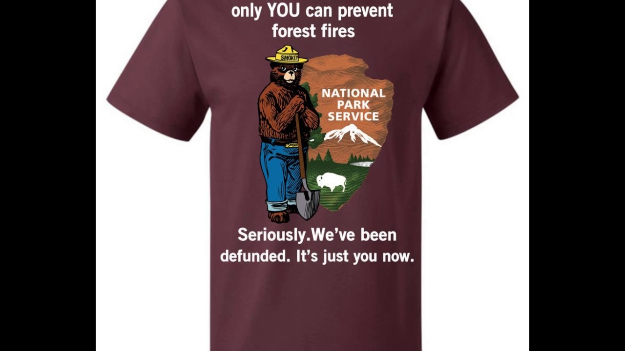 Only You Can Prevent Forest Fire! - ONLY YOU CAN PREVENT FOREST ...