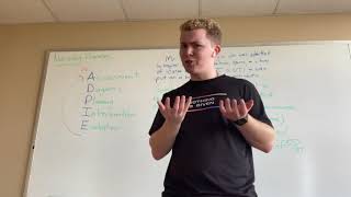 The Nursing Process (ADPIE)
