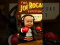 Baby Joe Rogan Theo Von Listen To Rocky Theme And Go FULL BEAST MODE AI Comedy Podcast mp3