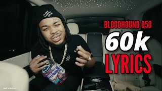 Bloodhound Q50  60k s