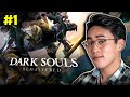 Nouvel arc de la souffrance sur dark souls 11 replay live 21012023