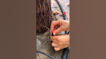 Béc nhỏ giọt 8 tia que cắm liền thân GIÁ RẺ  tự lắp đặt #becnhogiot