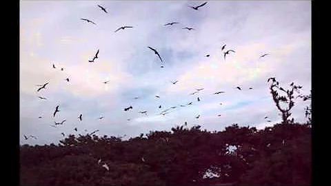 The Killers - I've got soul but i'm not a soldier