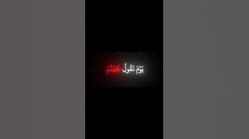 سورة ق الاية 29 | القارئ ياسر الدوسري🤍🖤