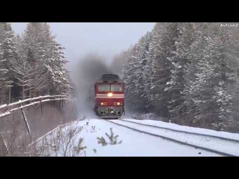 'Новый в ТЧЭ-12