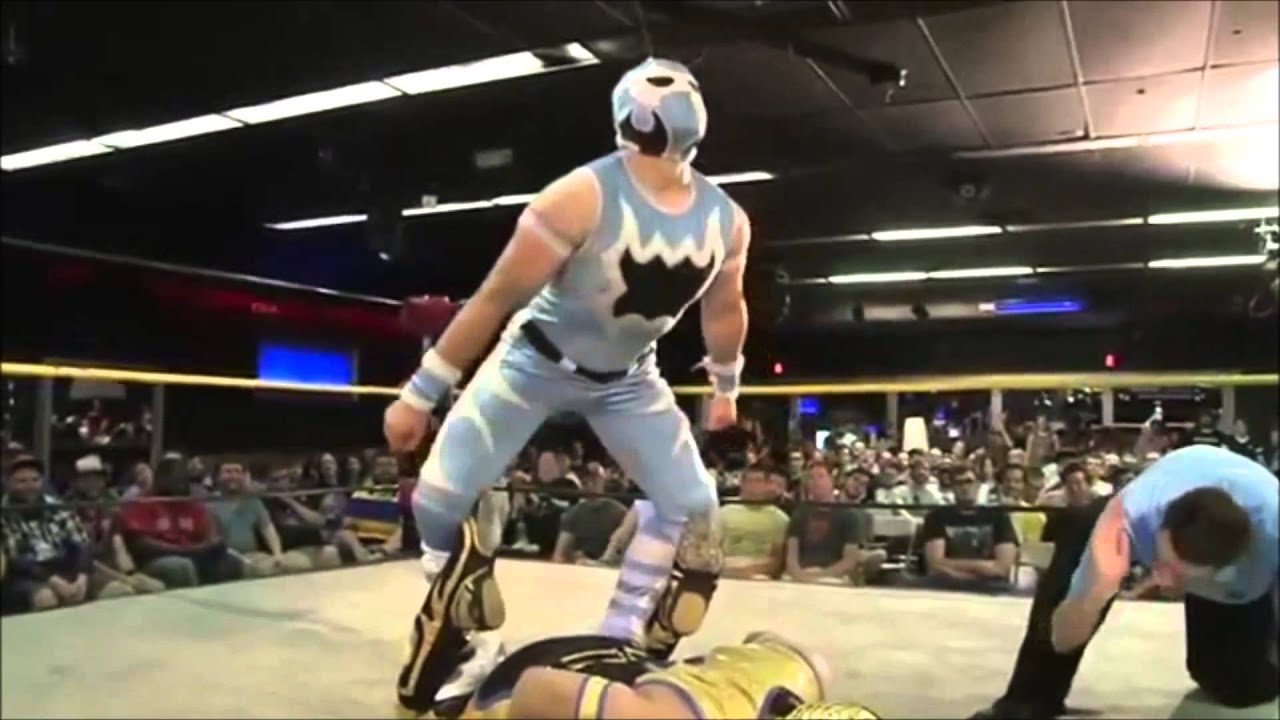 Arctic Rescue Ant Highlights