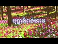 បុប្ផាកំពង់ហាវ, អកកាដង់​ 2021