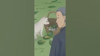 【暖暖furbaby】在台风天他抱起了自己最心爱的宝贝,那是他的囡囡