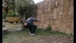 Daniel Brenes - Sampler 2008