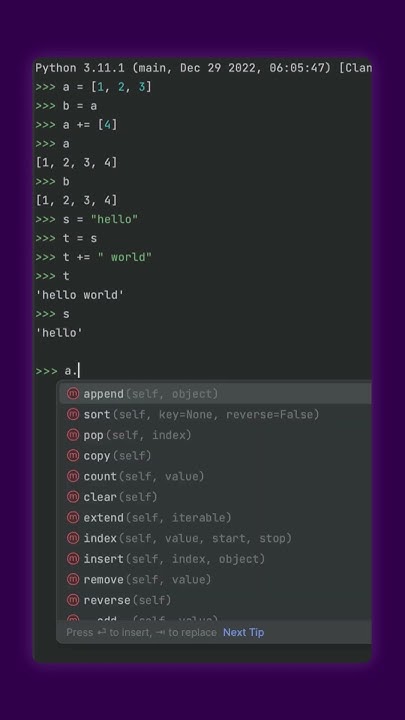 Weird Python: The += Operator on Mutable and Immutable Types - YouTube