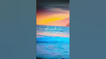 #رعد_الكردي #تلاوة_خاشعة #اكسبلور #duet #راحة_نفسية #ارح_قلبك #اجر_لي_ولكم #اكسبلور #قرآن #istanbul