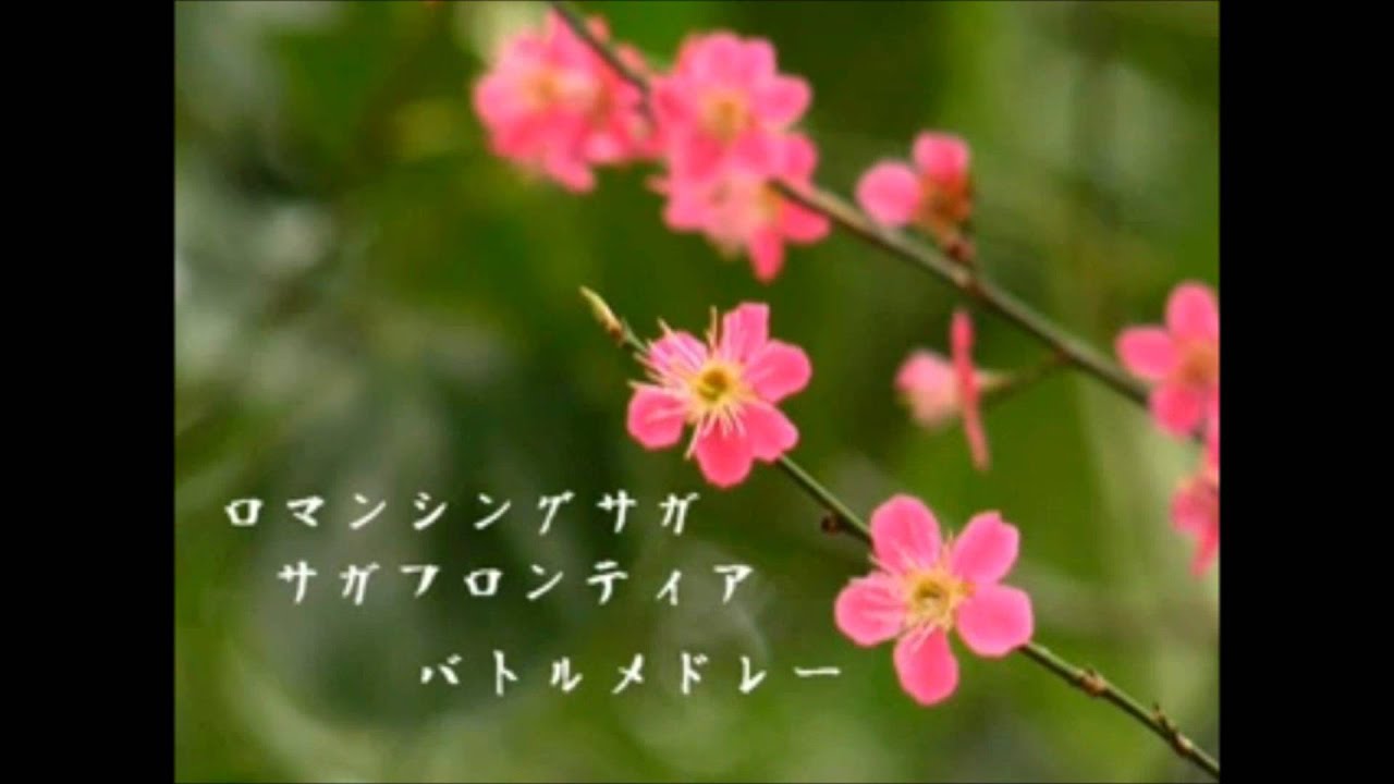 Romancing Saga Remix