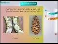 النباتات الوعائية البذرية