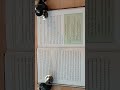 Dungeons and Dragons How to Be More DND by Kat Kruger (Foundational Text For Decisions) Black