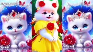 Cat video for cats to watch 💞🥀 cute cat videos movies#youtube #trending cat videos#please subscribe