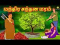 மந்திர சந்தன மரம் | Bedtime Stories | Tamil Fairy Tales | Tamil Stories |Koo Koo TV Tamil