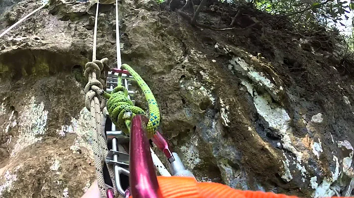 Black Hole Drop