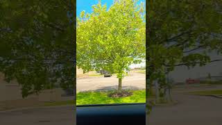 Perfect loop