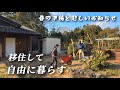 田舎に移住！慌ただしい春の準備とネットハウス完成！お空に旅立ったメリダの木を植えました【移住127】
