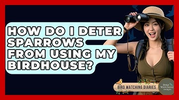 How Do I Deter Sparrows From Using My Birdhouse? - Bird Watching Diaries