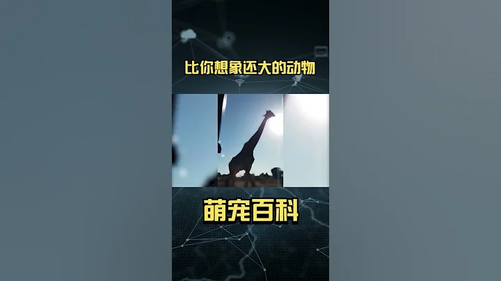 盤點那些比你想像中大很多的動物(二) #動物 #科普 #寵物知識 #搞笑 #animals - 天天要聞