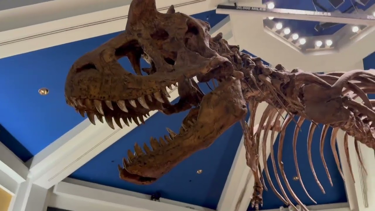 Dinsney's DINOSAUR (Countdown to Extinction) | Animal Kingdom 1998 - 2026