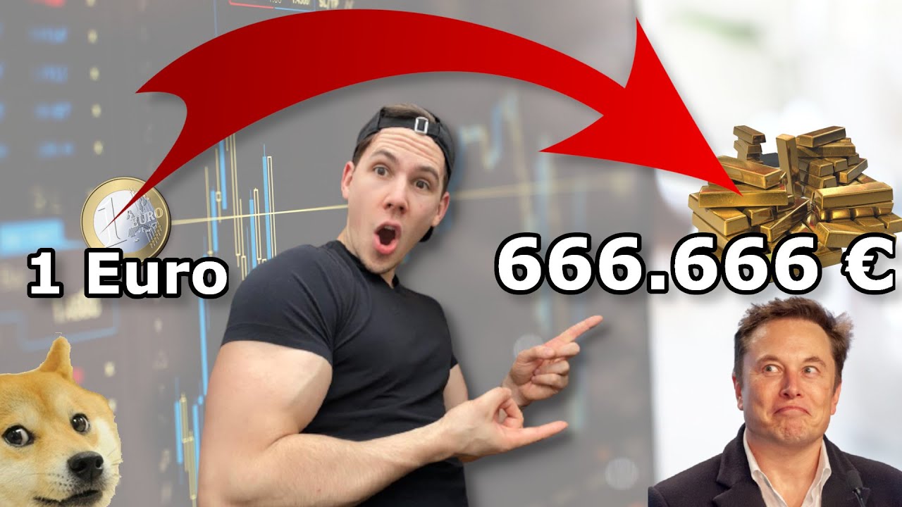 Mit Kryptowährungen aus 1 Euro fast 700.000 Euro machen? // BITCOIN /  DOGECOIN Investment
