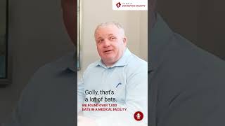 We Found Over 1,000 Bats in a Medical Facility