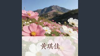 远山上的格桑花 (DJ涵柱版)