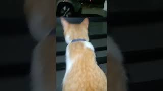 Yegrudysuyehfncnffr Fdidjffkjfktfdkc Xjdi Dc X D D D D D Rieduhddjdhfyduduhehsnszx Xdd Dd D D D Z