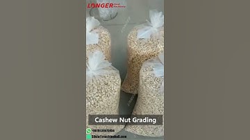 the Price of Automatic Cashew Grading Machine/ Cashew Sorting Machine #Shorts