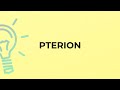 What is the meaning of the word PTERION?
