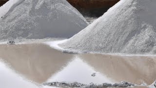 "Crytals of Time: Delving into the Enduring Legacy of Salt"