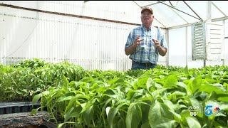 Pueblo Chiles Past present and future