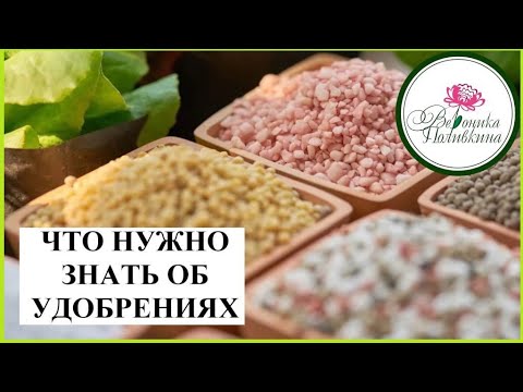 ОБ УДОБРЕНИЯХ ДЛЯ НАЧИНАЮЩИХ. ЧТО? КОГДА? и КАК?