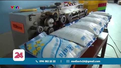 Ngành mía đường và nguy cơ phá sản | VTV24